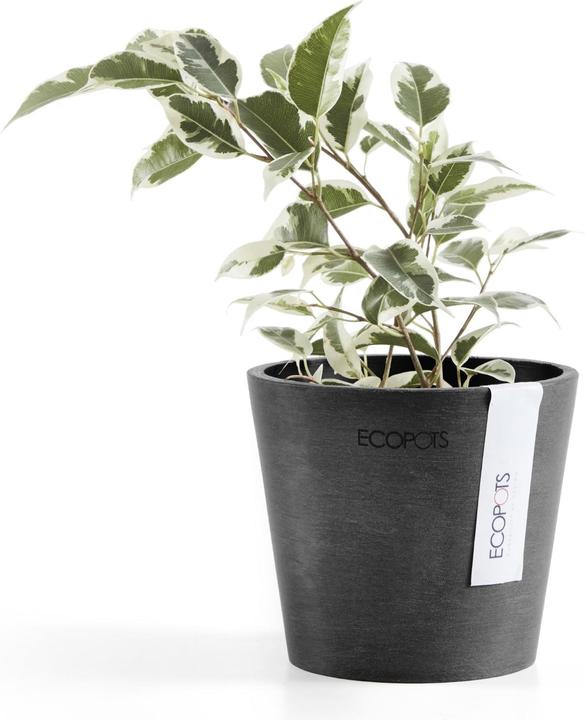 Produktbild Ecopots Amsterdam Mini (10.50 cm)