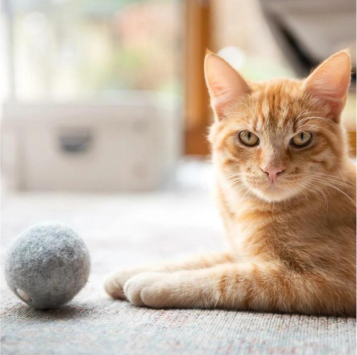 Actual product image CanadianCat Cat toy felt ball with scent bag (Cat ball toy)