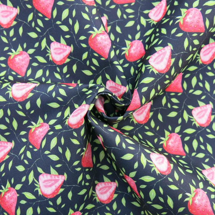 Produktbild Stoffrestposten Canvas Blachenstoff - Süsse Erdbeeren