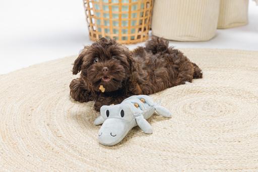 Actual product image Beeztees Puppy Crocodile Jake Dog Toy (Plush toy dog)