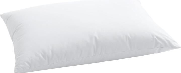 Actual product image DOR Cuddly cushion (100 x 65 x 12 cm)