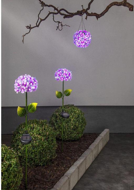 Actual product image Star Trading Hortensia (IP44)