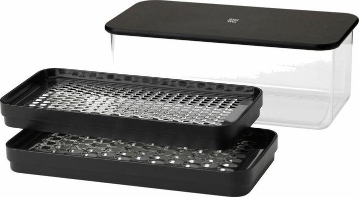 Actual product image Rig-Tig by Stelton RIGTIG GRATEIT grater with container