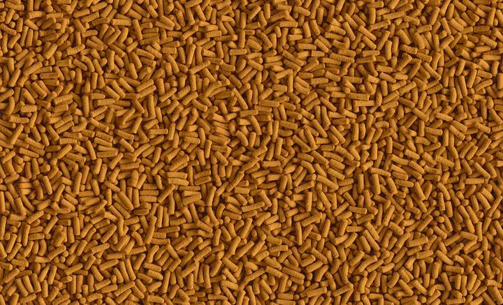 Image du produit Tetra Bâtonnets (Cichlidés, Poissons d'ornement, 500 ml)