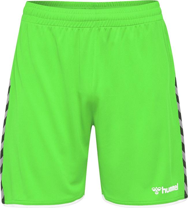 Actual product image hummel Authentic Poly Shorts (M)