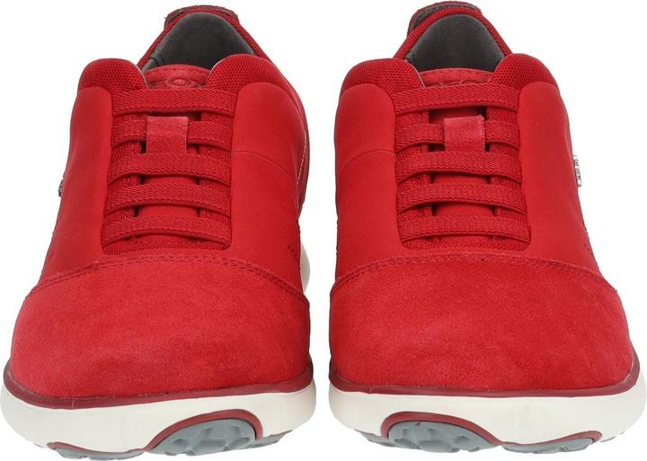 Actual product image Geox Sneaker (40)