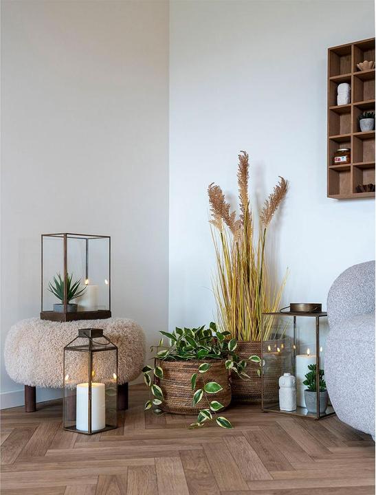 Produktbild House Nordic Hoya (33 cm)