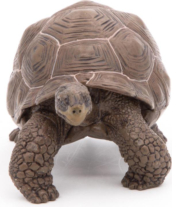 Produktbild Papo Galápagos-Riesenschildkröte