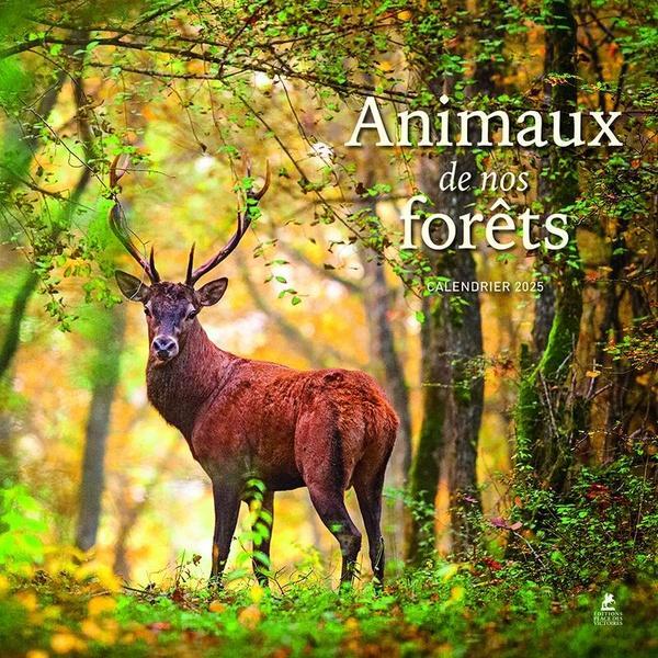 Produktbild Animaux de nos forêts : calendrier 2025 (Harter Einband, Französisch)