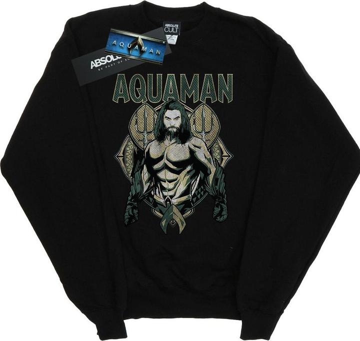 Aquaman Scales Sweatshirt Jungen