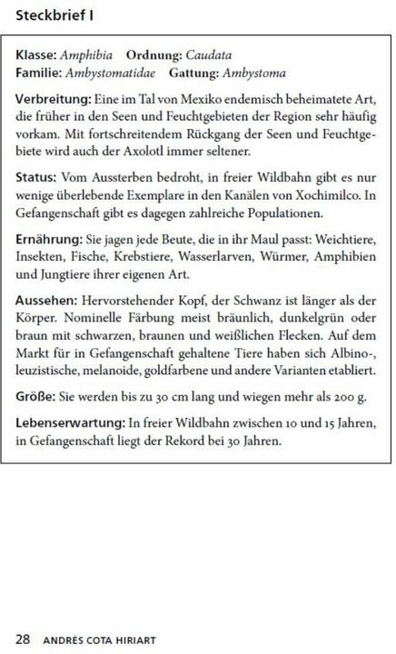 Produktbild Die ewige Jugend des Axolotls (Andrés Cota Hiriart, Deutsch)