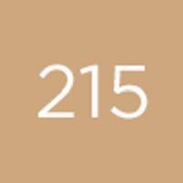 Actual product image Diego dalla Palma High Coverage Foundation Sun Protection Factor 20 215 (215)