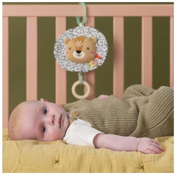 Actual product image Taf Toys Harry the Lion