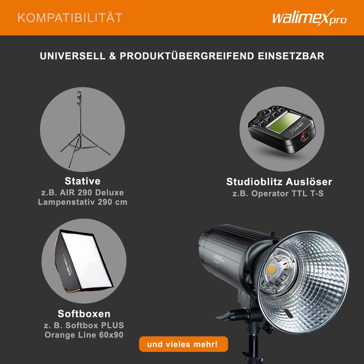 Actual product image Walimex pro Stager 600 HSS Studio Flash (600 W, Flash head)
