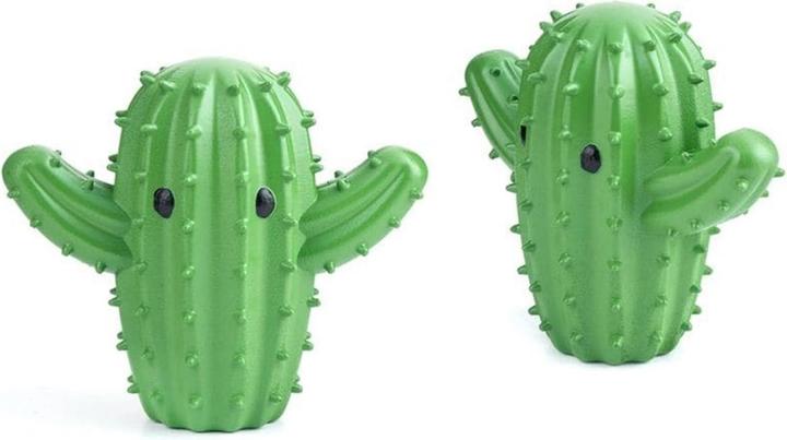 Productafbeelding Kikkerland Cactus Droogballen