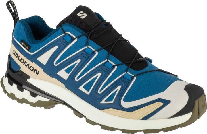 Salomon XA Pro 3D v9 Laufschuhe (46)