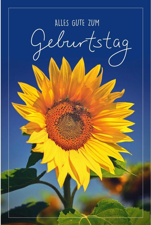 Produktbild ABC Glückwunschkarte Geburtstag 12.5 x 17.6 cm (1 Stk.)