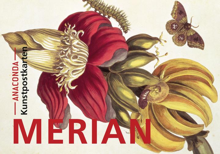 Actual product image Postcards set Maria Sibylla Merian (20 pcs.)