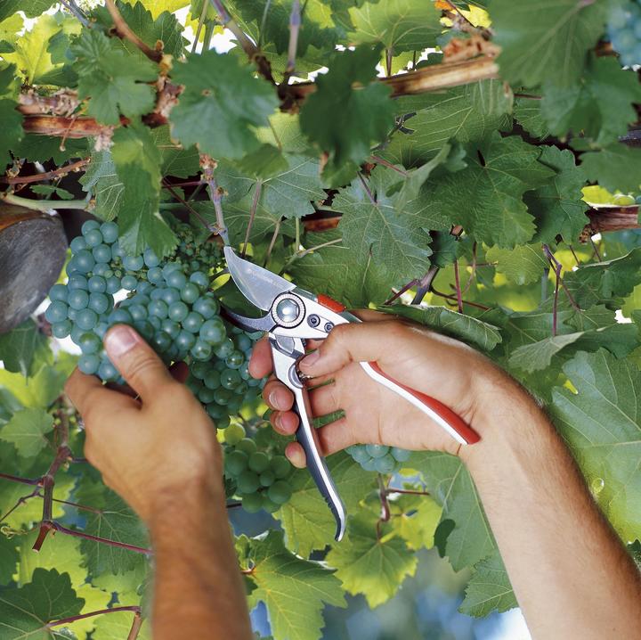 Immagine prodotto Gardena Premium BP50