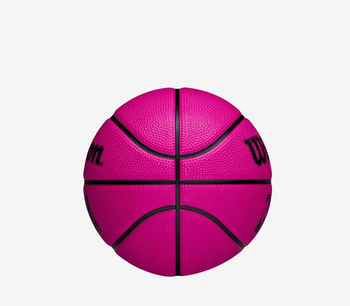 Actual product image Wilson Nba Drv Mini (3)