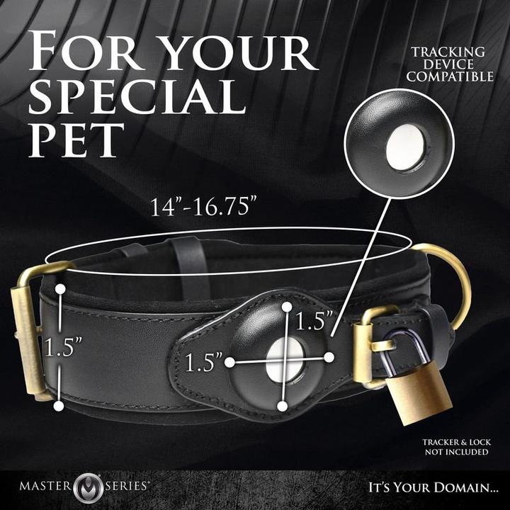 Actual product image Master Series Tracer - Tracking Collar
