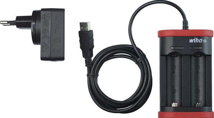 Auction Ladegerät für Akku Typ 18500 Li-Ion mit USB und Eurostecker (41915)