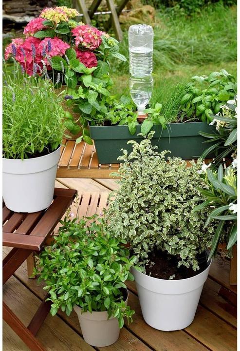 Actual product image Hozelock 100-101-074 Bewässerungskegel (Irrigation kit)