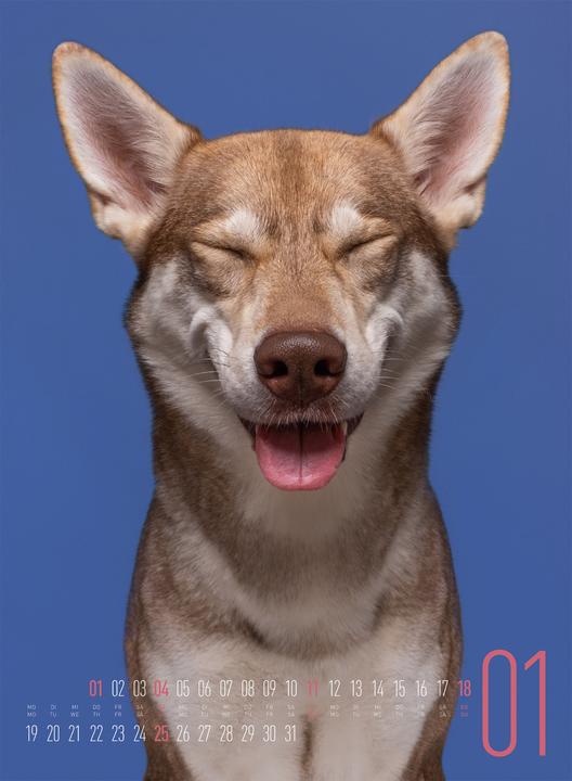 Produktbild Frei Schnauze - Kalender 2026 (33 x 45 cm, Harter Einband, Englisch, Deutsch)