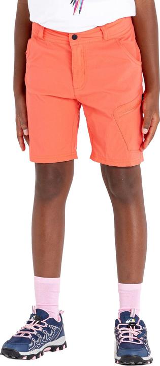 Actual product image Dare2b Reprise II Shorts (146)