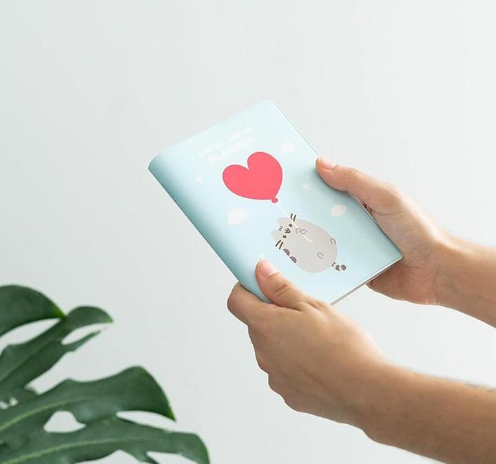 Produktbild Grupo Erik PUSHEEN - Agenda Pocket 2023/2024 - 17 Mois - UK (A6, Harter Einband, Englisch)