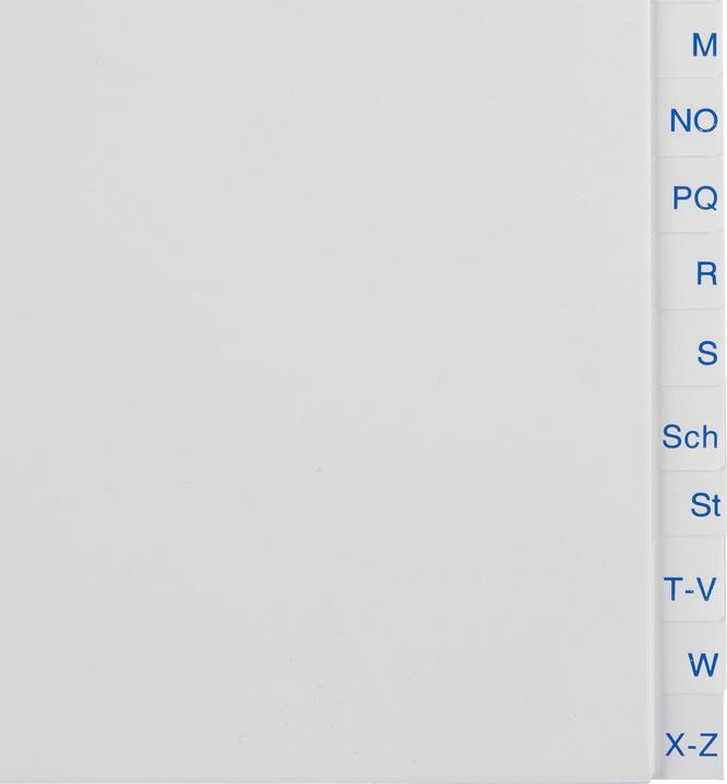 Actual product image Esselte Economy plastic register