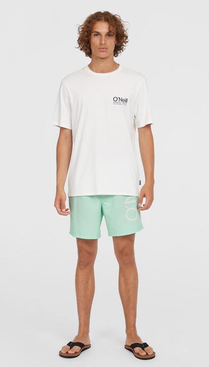 Immagine prodotto O'Neill Original Cali 16" Swimshorts (L)