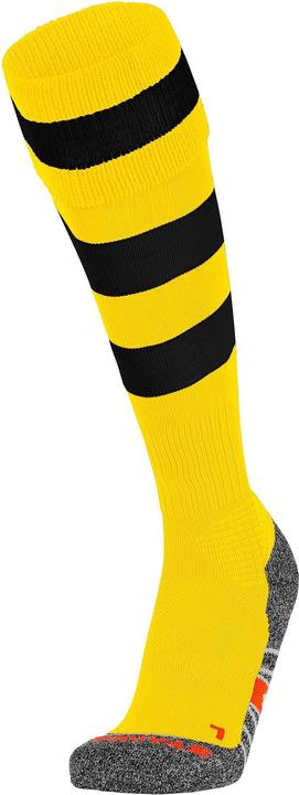 Actual product image Stanno Original Sock (41, 44)
