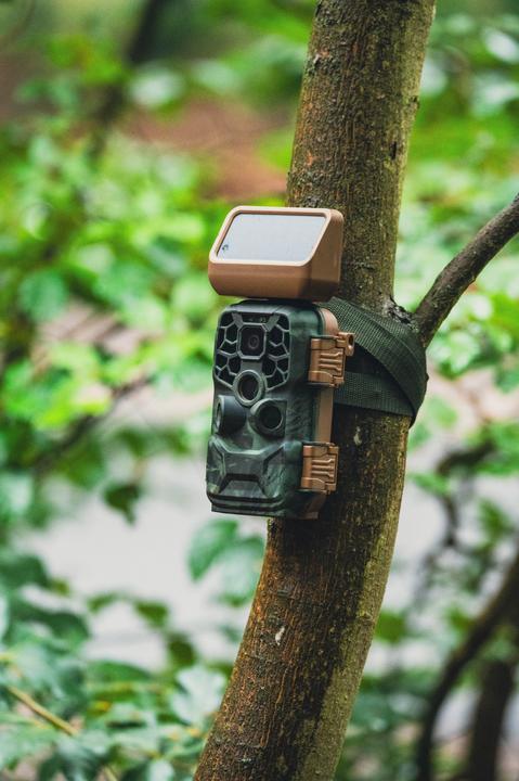 Produktbild Braun Photo Scouting Cam Black400 WiFi Solar