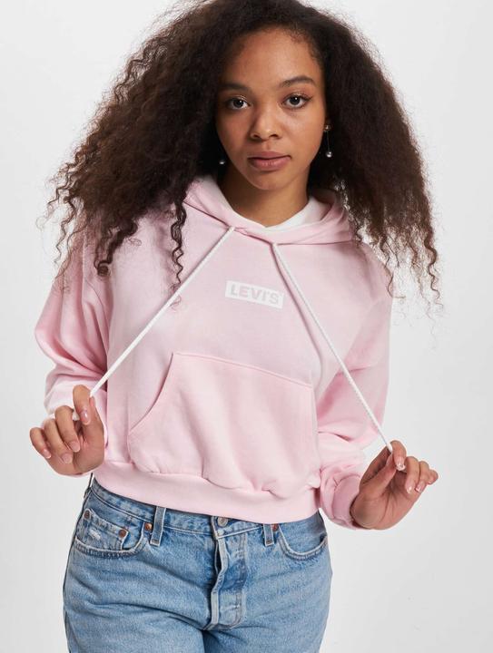 Produktbild Levis Graphic Laundry Hoodie - 96013 (S)