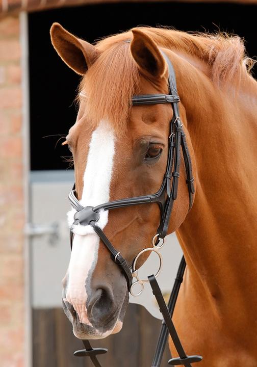 Produktbild Premier Equine Glorioso Zaum