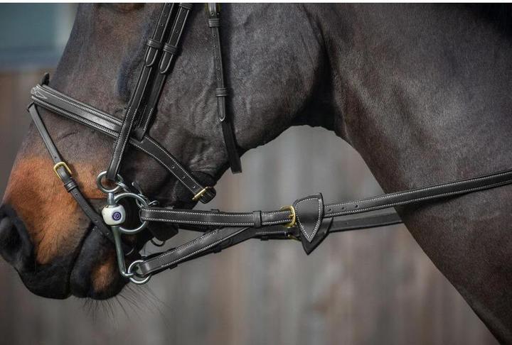 Actual product image Dy'on Rubber half reins with 7 stops