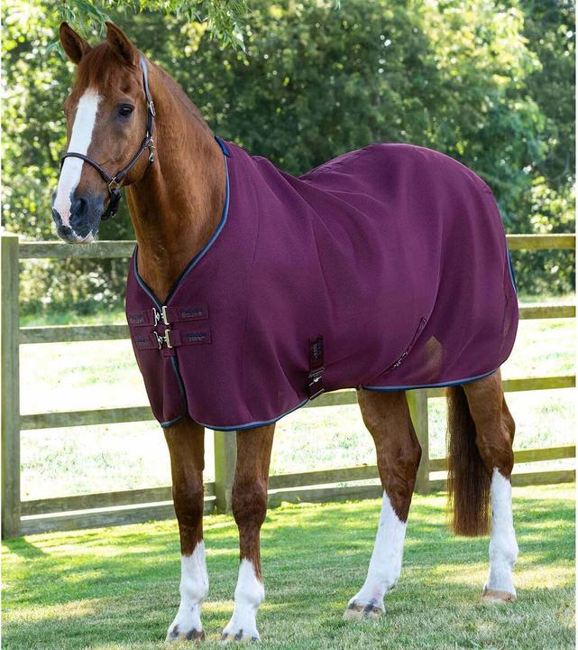 Premier Equine Airflow Cooler