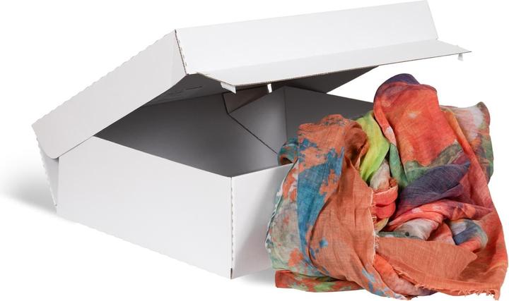 Actual product image Brieger Shipping box Tex-Pac 44.5 x 37.9 x 8 cm, 1 piece (0.5 x 45 x 94 cm, 1 x)