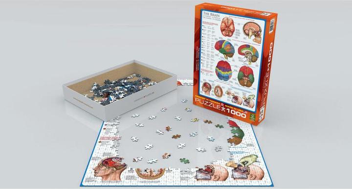 Image du produit Eurographics Le cerveau (1000 pièces)