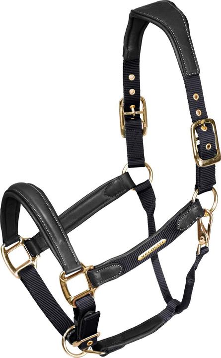 Immagine prodotto Velociti Pelle Imbottita Cavezza per Cavallo
