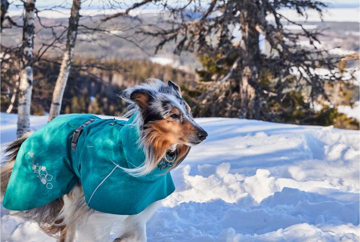 Actual product image Hurtta Monsoon V2 Eco green mackintosh, 60 cm (60, Dog raincoat)