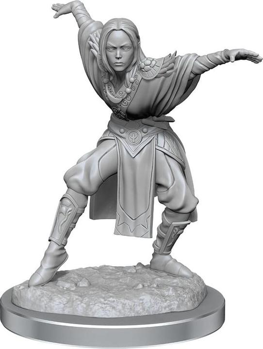 Produktbild Wizkids Pathfinder Battles Deep Cuts pack 2 miniatures à peindre Half-Elf Monk Female (carton de 2)