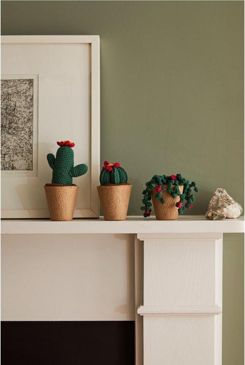Actual product image DMC Gift of Stitch Crochet Set Amigurumi Cactus