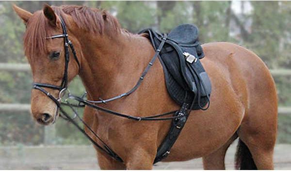 Actual product image Wembley Triangle reins