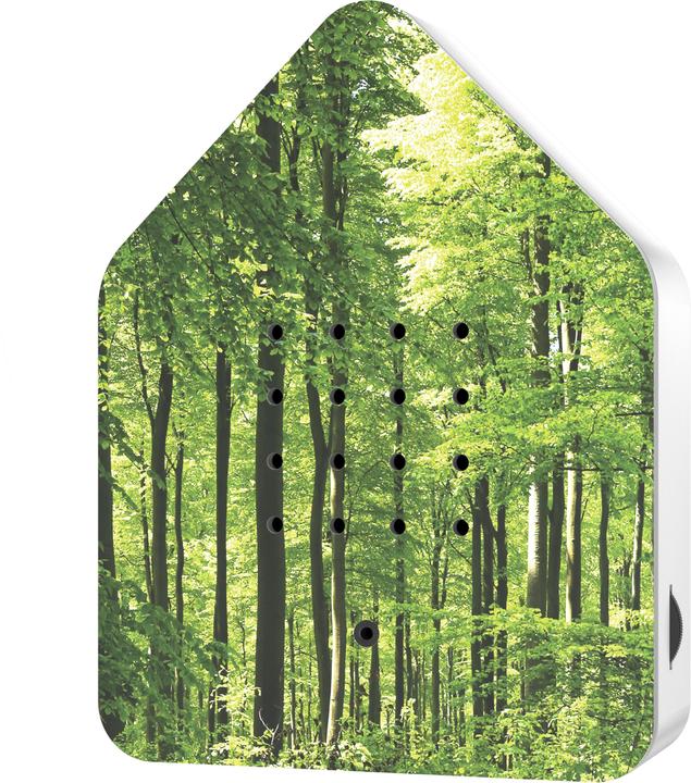 Weiss, Wald