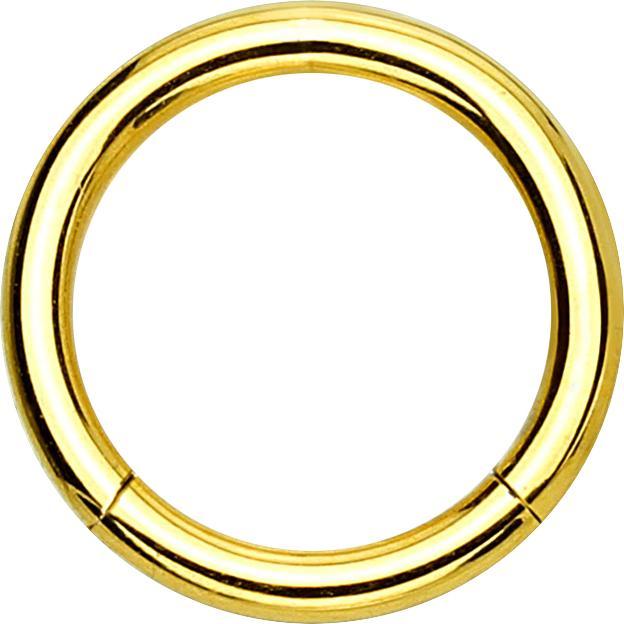 Produktbild Star Piercing Segmentring klappbar vergoldet (ohne Messing, Chirurgenstahl 316L)