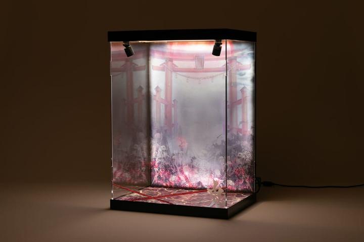 Produktbild Shinsai Acryl Display Case mit Beleuchtung Inbina Rasethuhime Saki M Edition 39 cm