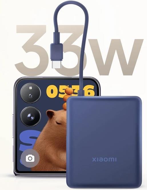 Actual product image Xiaomi 33W Power Bank 10000mAh (Integriertes Kabel) | Eisblau (10000 mAh, 36.50 W, 36.50 Wh)
