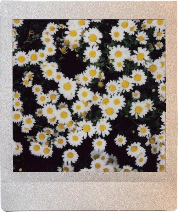 Image du produit Fujifilm instax Square Film Sunset Rainbow (Instax Square SQ10, Instax Square SQ6, Instax Square SQ20)